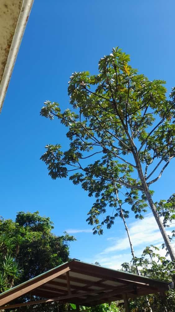 Corredores Del Pacuare La Suiza エクステリア 写真