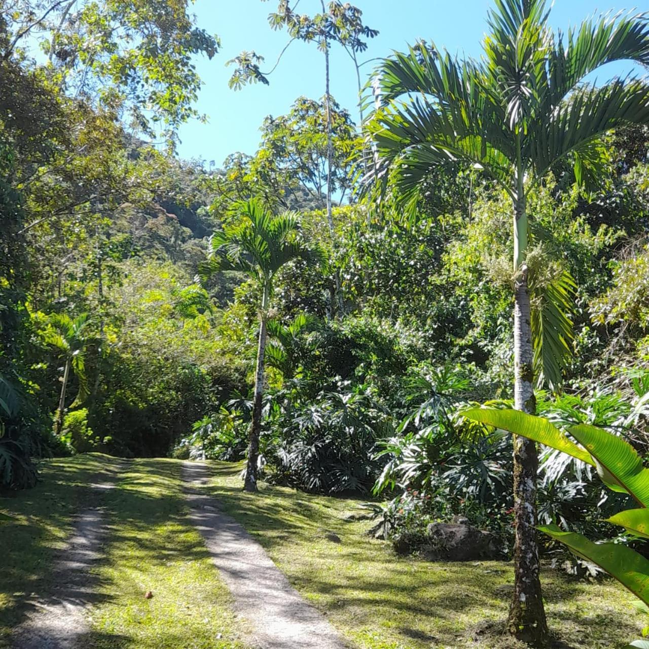 Corredores Del Pacuare La Suiza エクステリア 写真
