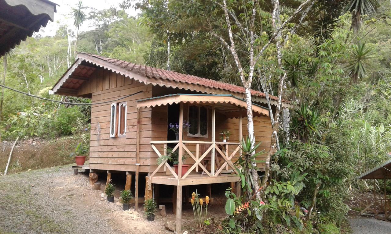 Corredores Del Pacuare La Suiza エクステリア 写真