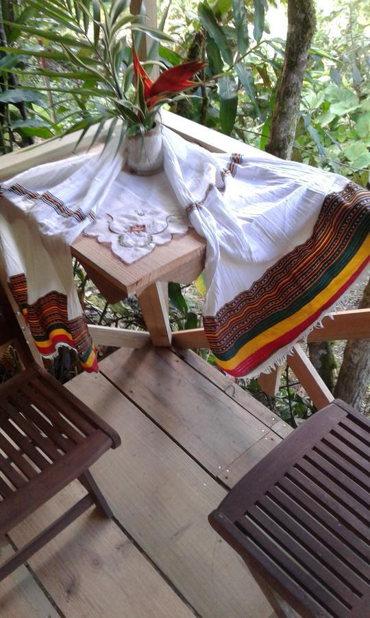 Corredores Del Pacuare La Suiza エクステリア 写真